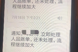 长海长海的要账公司在催收过程中的策略和技巧有哪些？